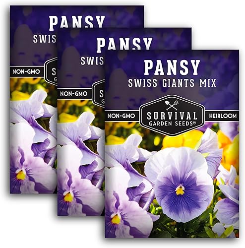 Survival Garden Seeds - Semillas de pensamiento Swiss Giant Mix para plantar - 3 paquetes con instrucciones para plantar y cultivar pensamientos