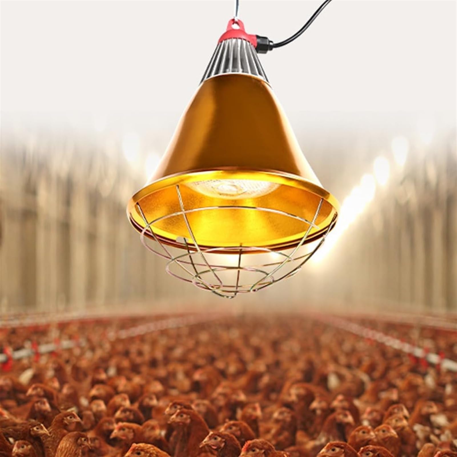NEZIH Lampada for allevatrice Coop, Lampada riscaldante for scaldapulcini, Lampada riscaldante for rettili impermeabile in alluminio, Riscaldatore a infrarossi for uccelli, conigli, polli