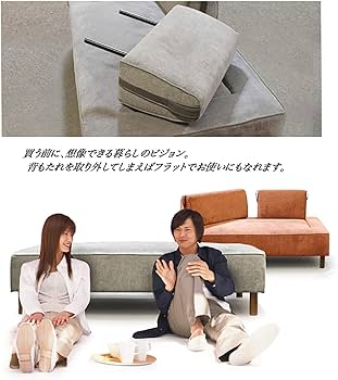 71DR3esTlWL._AC_UF350,