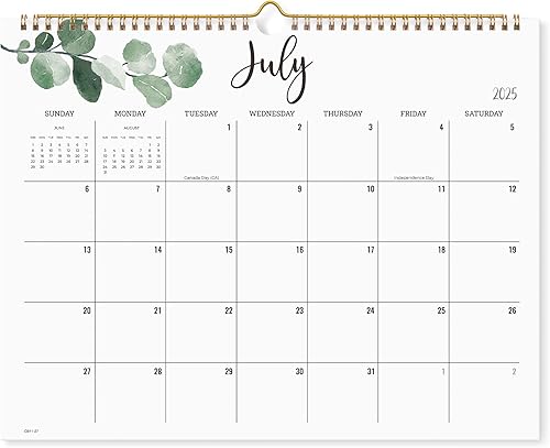 Cabbrix Calendario de pared 2024-2025, calendario mensual de pared de 18 días desde ahora hasta junio de 2025, encuadernado con alambre, 15 x 12 disponible en Yaxa Colombia