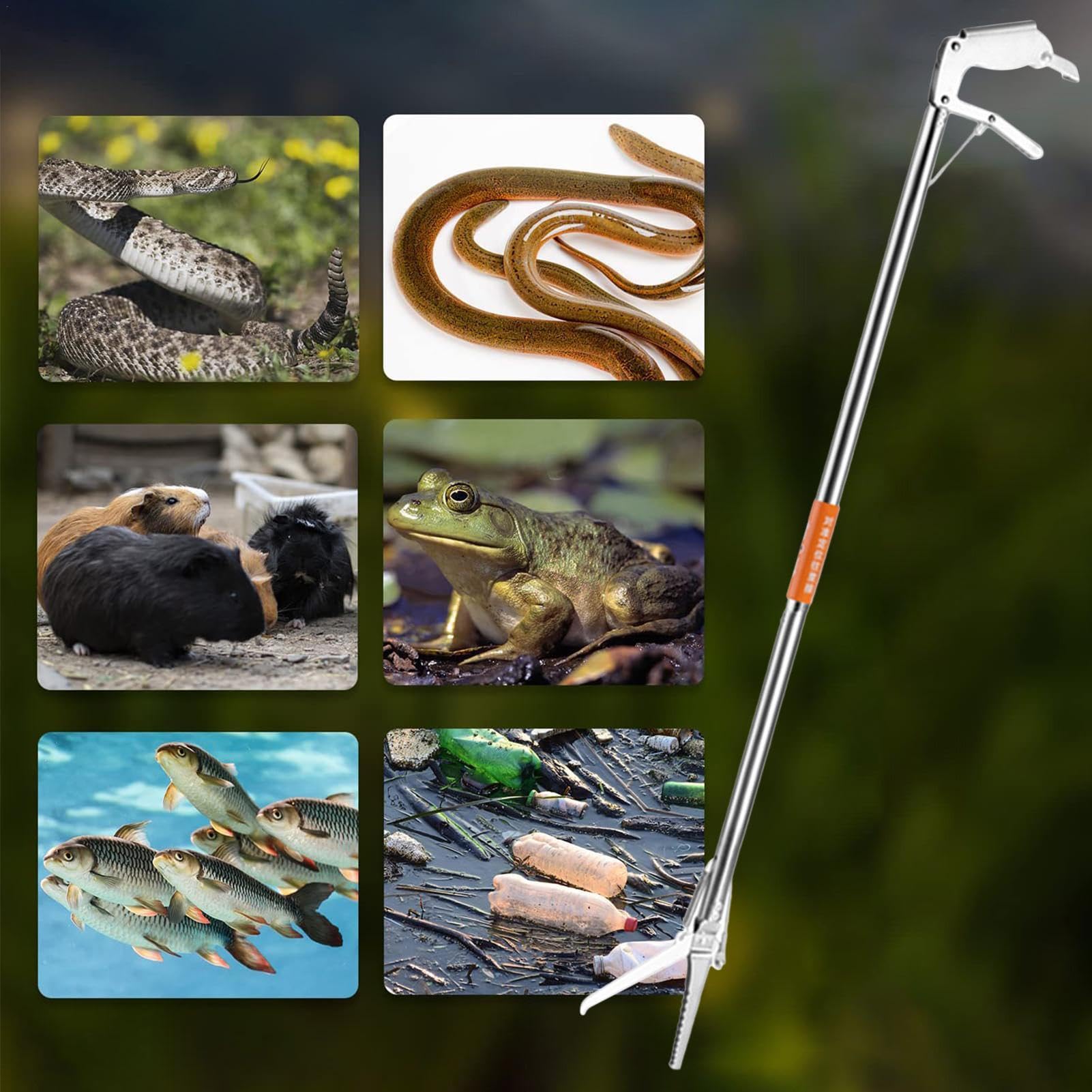 Pince à serpent – Tige de capture de serpent, outil de préhension de serpent | Pince attrape-serpent avec sa poignée étendue antidérapante, bâton de préhension professionnel pour reptiles pour le