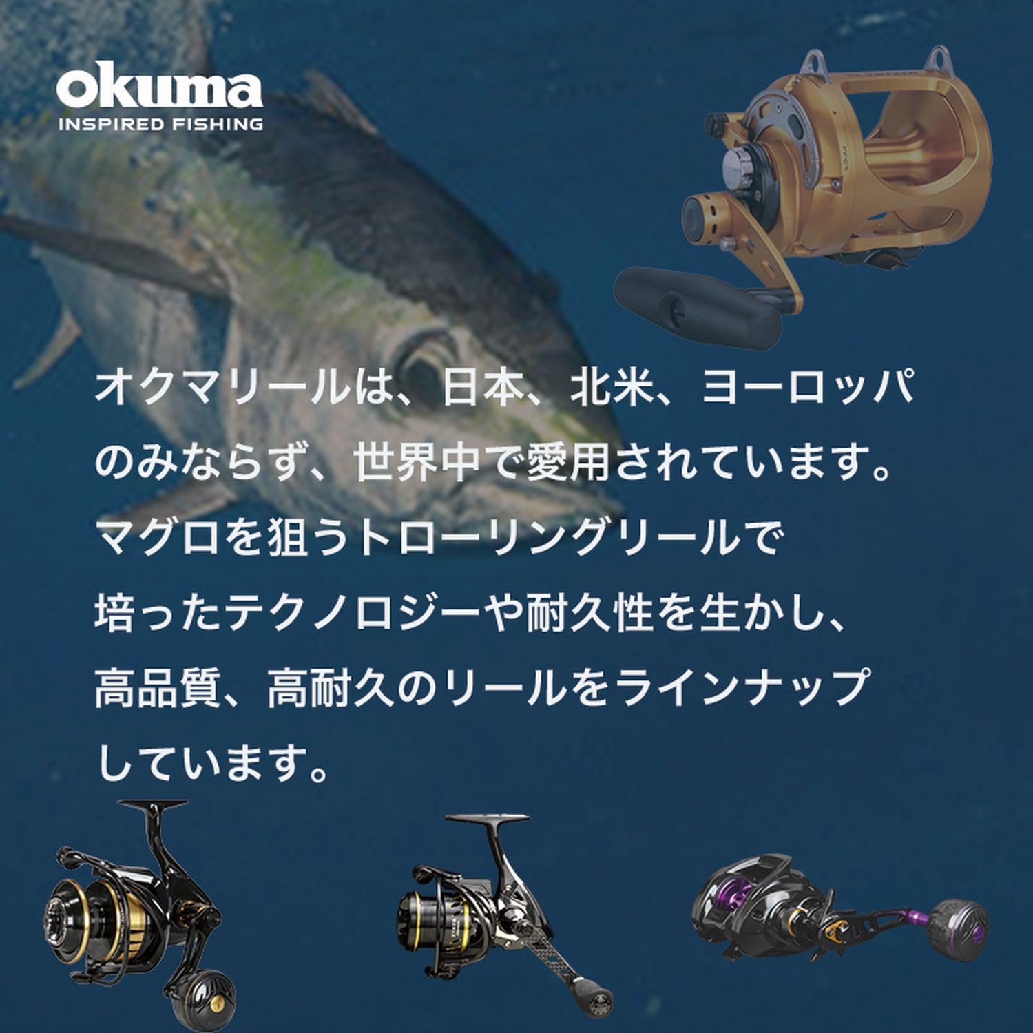 Zenith Okuma ARIA B (Alia NEW2023) ARIA-6000B General Purpose Spinning Reel with Thread, Boxed Type