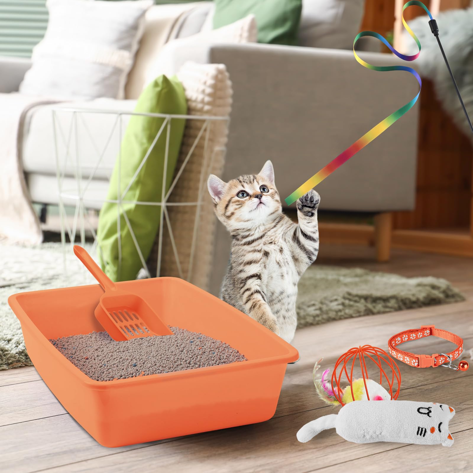 7-teiliges Starter-Set Für Kleine Katzen – Inklusive Toilette, Näpfe, Spielzeug & Halsband