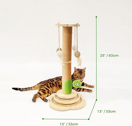 Miniatura 6 de TINYBEAST Poste rascador para gatos de interior, juguete para gatos con bola de seguimiento de madera maciza (13 pulgadas de largo x 13 pulgadas de
