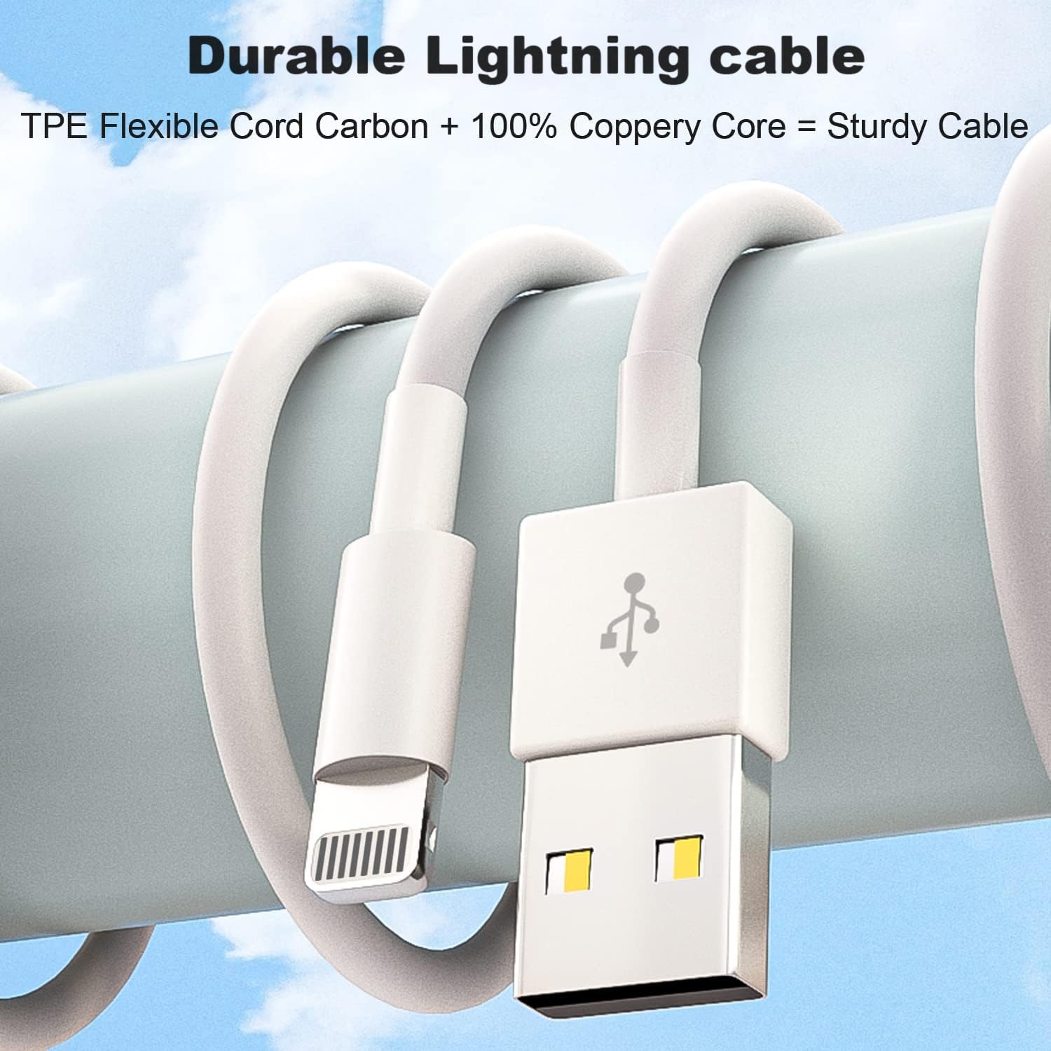 iPad Charger, 2Pack [Apple MFi Certified] 10FT Long USB A to Lightning Cord Cable with USB Wall Charger Travel Plug Foldable Portable Adapter Compatible with iPad, iPadAir, iPadMini, iPadPro, iPhone