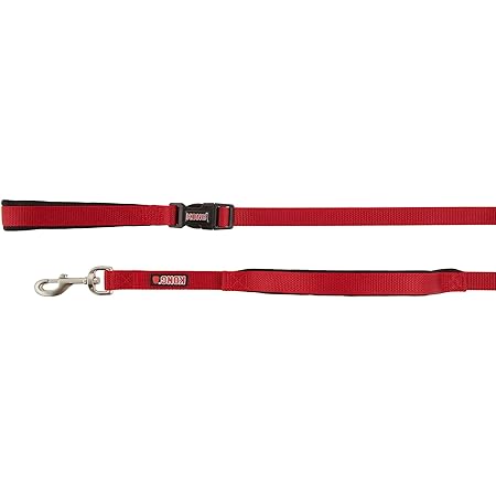 kong double handle leash