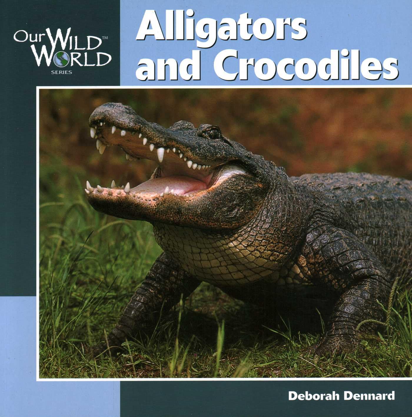 Alligators and Crocodiles Paperback – Illustrated, 13 March 2008