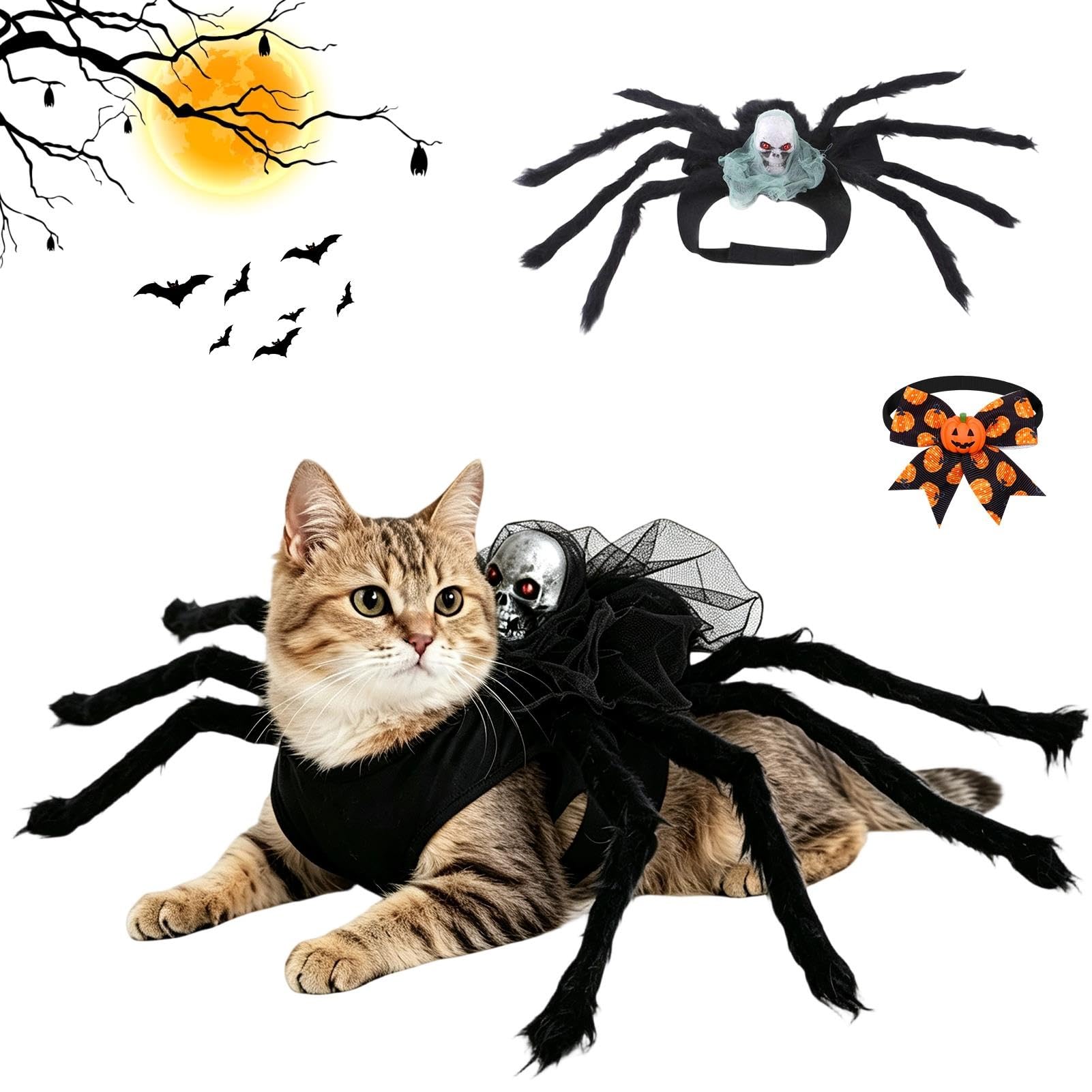 Spider cat costume, Halloween dog costume, spider costume for dogs
