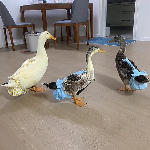 Miniatura 3 de BestParts Pañal ajustable impermeable reutilizable, pañal de tela para aves de corral para granja, ganso de mascotas, pato para mascotas, pollo para