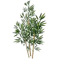 Planta Artificial Bambu Da Sorte 1 Metro Sem Vaso Decoração De Sala