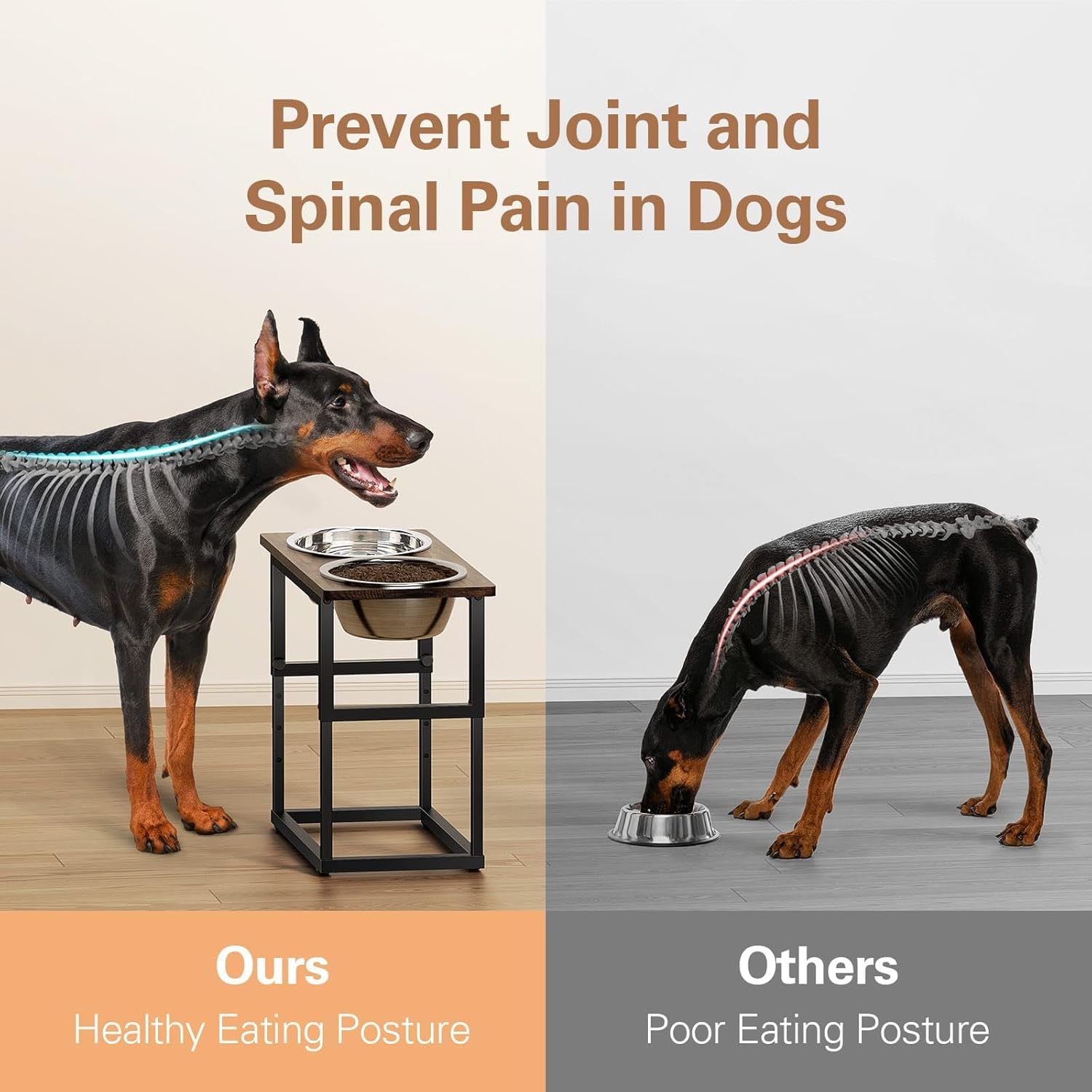 Elevate Mealtime: The Best Adjustable Dog Bowls for Large Breeds