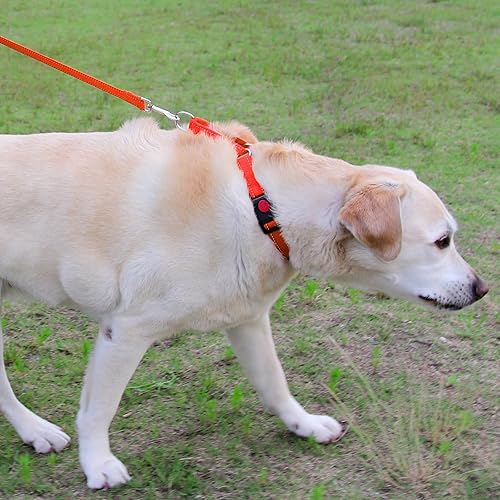 Miniatura 4 de Joytale Collar Martingale para perros, reflectante resistente para mayor seguridad, hebilla de liberación rápida, collares de nailon ajustables para