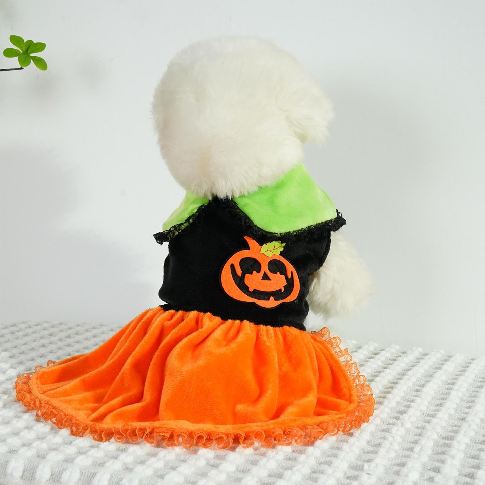 Halloween Hundekostüm Hexe Mit Spinnennetz-Rock – Lila Tutu-Kleid Für Kleine Hunde & Katzen