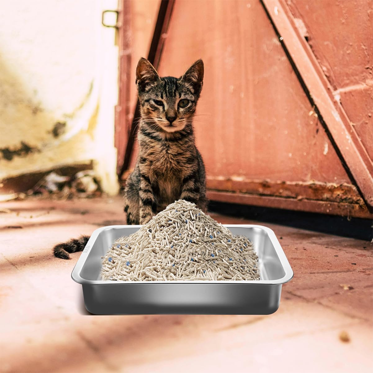 Stainless Steel Cat Litter Box Durable Tray for Small and Cats Easy to Design Open Litter Pan for Effortless Pet