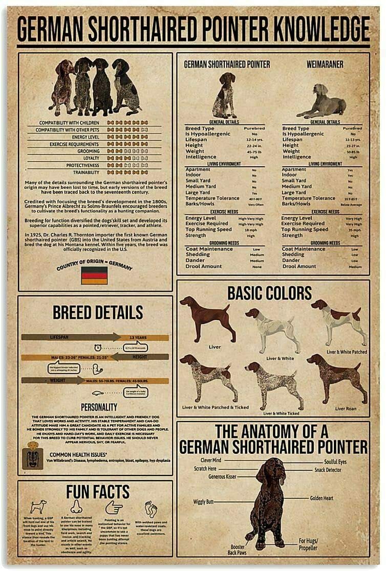 Vintage Metall-Blechschild 'Deutscher Kurzhaar' - 20x30cm Retro-Deko Für Küche & Bar
