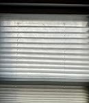 Review Image by GJG GJG