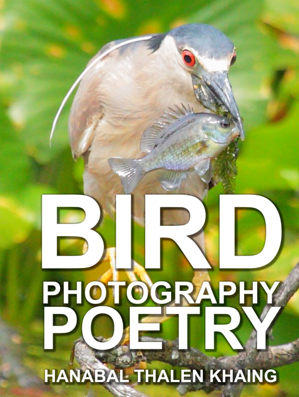 Photographie d'oiseaux livre cadeau idéal de poèmes et sonnets inspirés de Shakespeare
