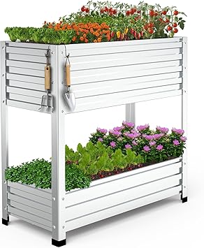 2-Tier Galvanized Raised Garden Bed with Legs, 36"x16"x36" Metal Elevated Planter Box (12" Top/8" Bottom Depth), 500LB Capacity for Vegetables, Herbs, Leafy Greens, Flowers on...