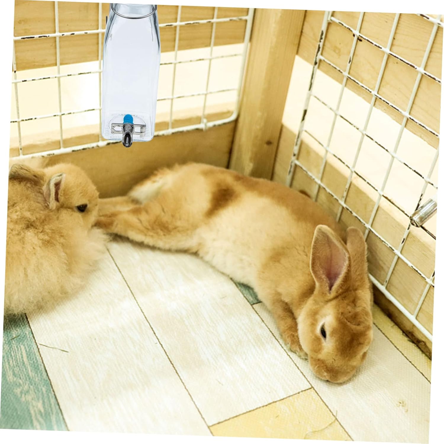 Kisangel 2pcs Rabbit Glass Water Bottles Hanging Mini Tubes Water Bottle Hamster Drink Dispenser for Small Animals Kettle