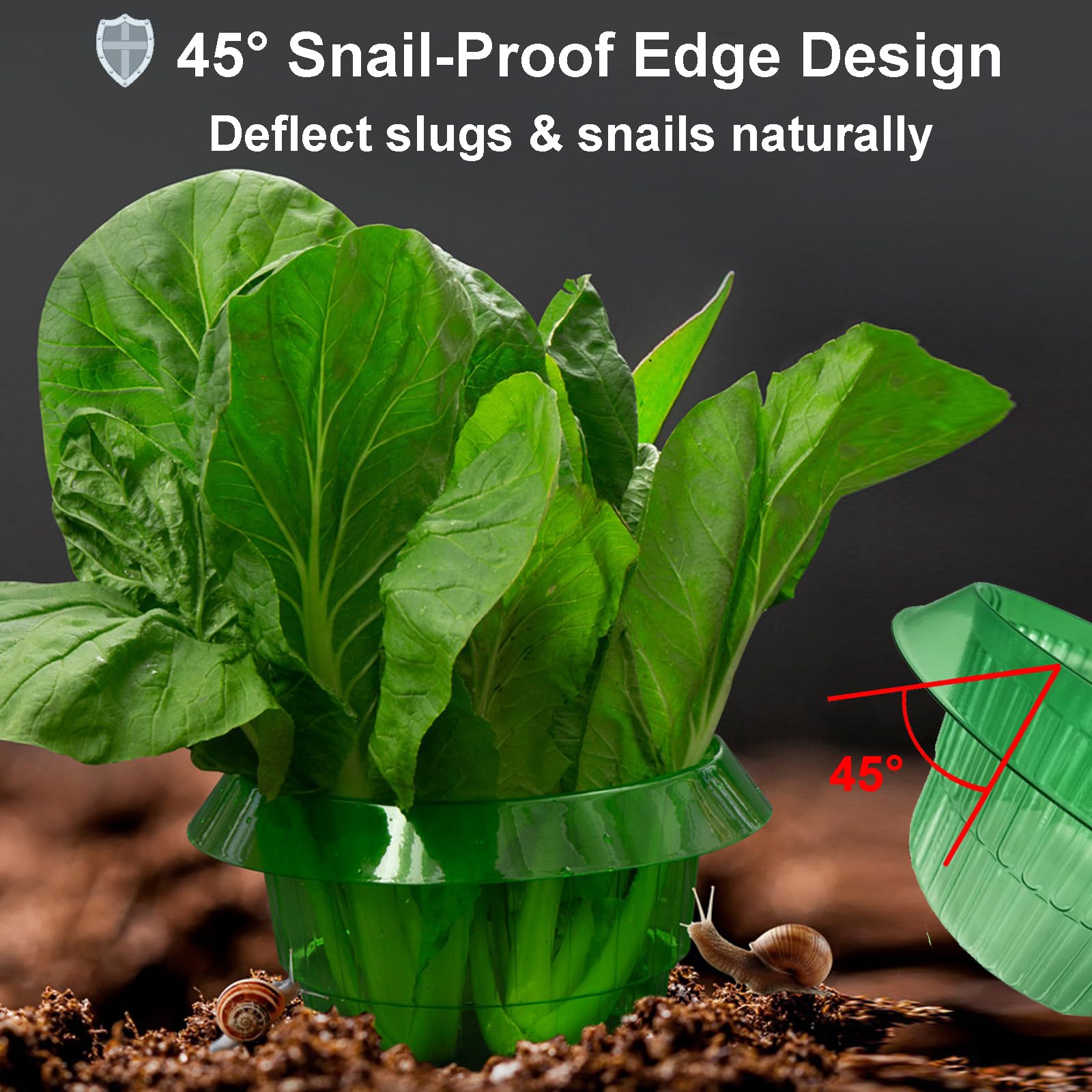 10 Pezzi Collari Anti-Lumache per Orto con Bordo 45° - Anelli Protezione Piante da Insalata, Pomodori e Cavoli, Materiale Resistente UV/Antipioggia, Senza Chimici e Riutilizzabile, Ø24cm