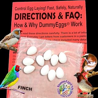 Finch Eggs Plastic Dummy Trick Your Bird to Stop Brooding Laying 5/8" x 1/2" White Non-Toxic 7 Solid Realistic Fake Bird Eggs USA