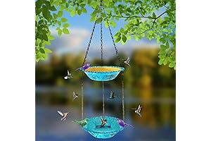 9.25-Inch, Two-Tiered Glass Drinking Bird Bath for Outdoor Birds and Hummingbirds