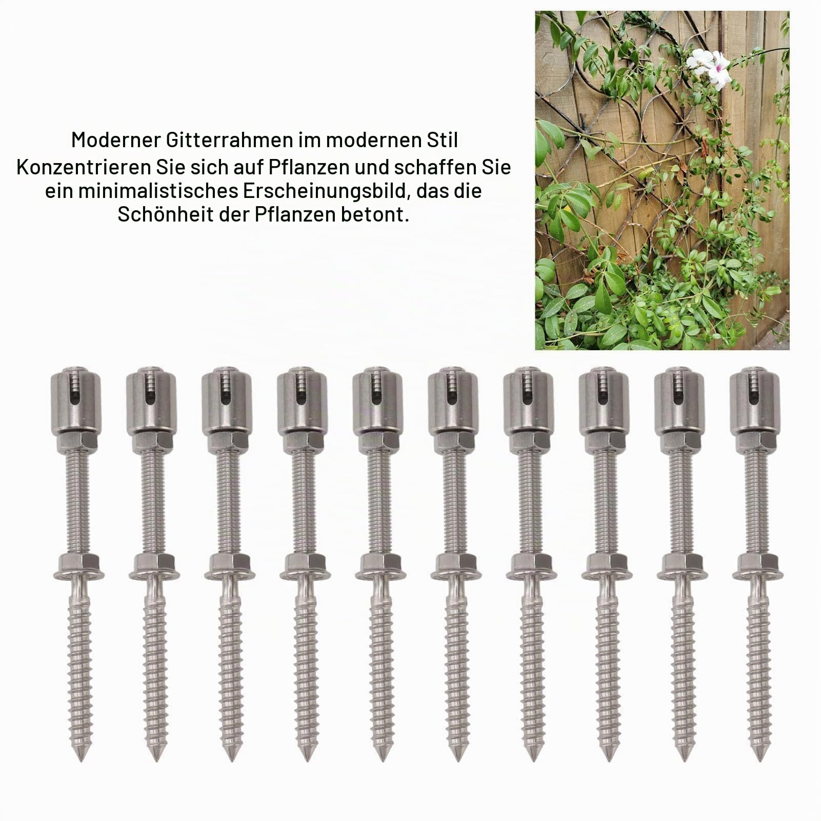 Pssopp Edelstahl Rankhilfe für Kletterpflanzen, Rankseilsystem, Spalier für Kletterpflanzen, Flexibles Layout, Wandspalier für Kletterpflanzen (Ohne Stahldraht)