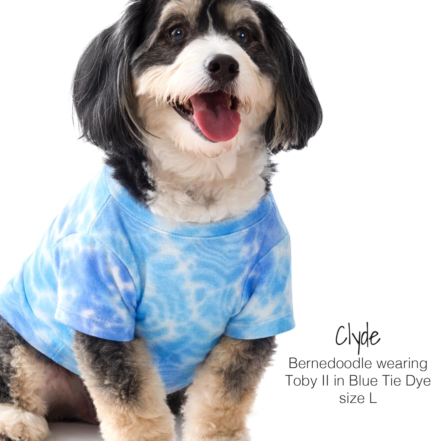 Pet Passion Toby II - The Perfect Tee, 3 Pack Short Sleeve Pet T-Shirt 100% Organic Cotton Tees Clothes for Small, Medium, Large Dogs​​, Blue Tie Dye, XX-Small (4-7 lbs)