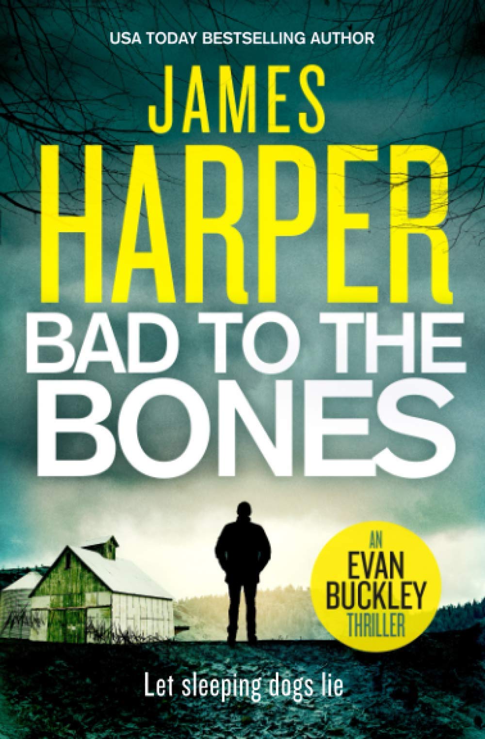 Bad To The Bones: An Evan Buckley Thriller: Volume 1