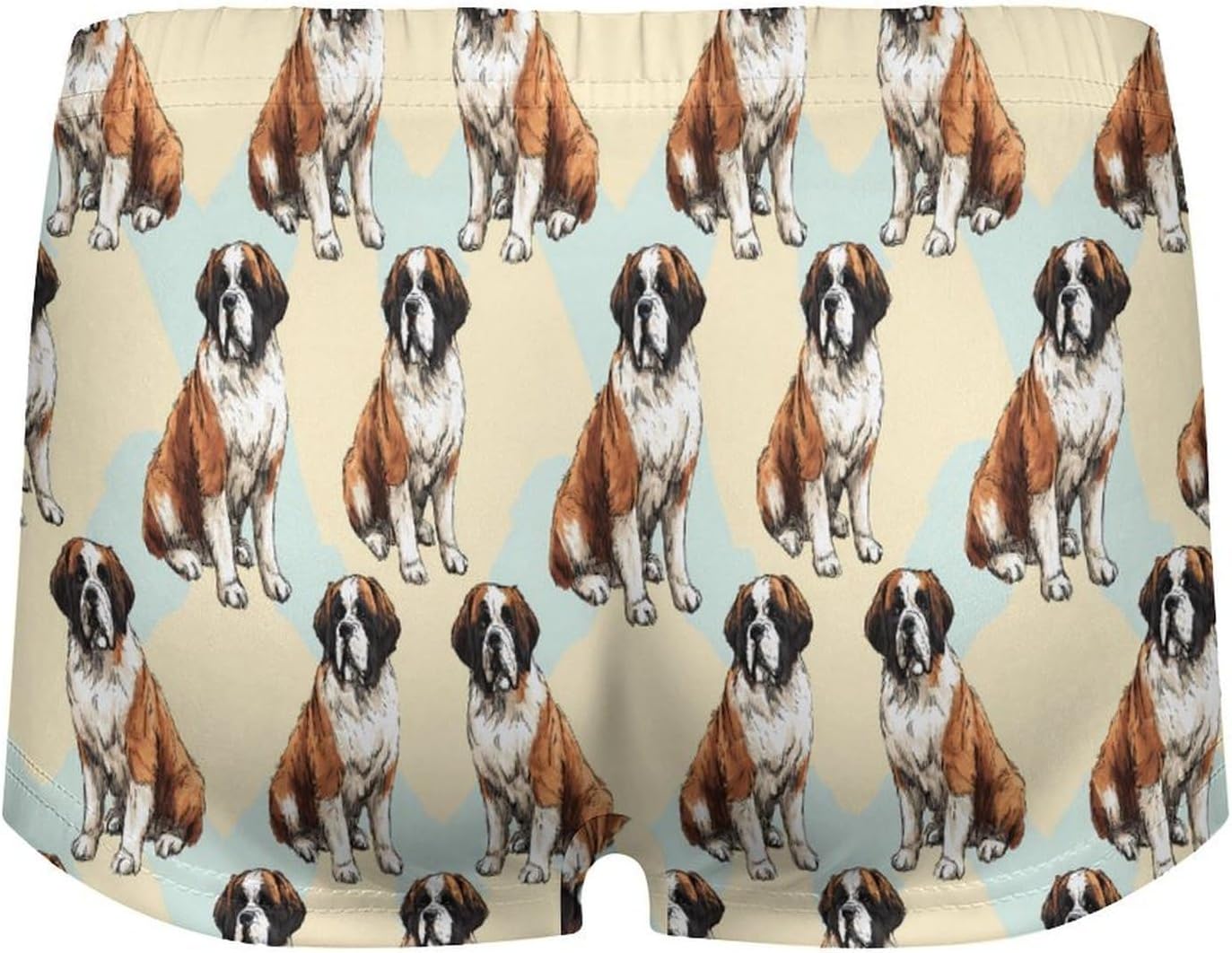 Saint Bernard Dog Watercolor Funny Women's Boxer Briefs Breathable Underpants Trunks Stretch Underwear