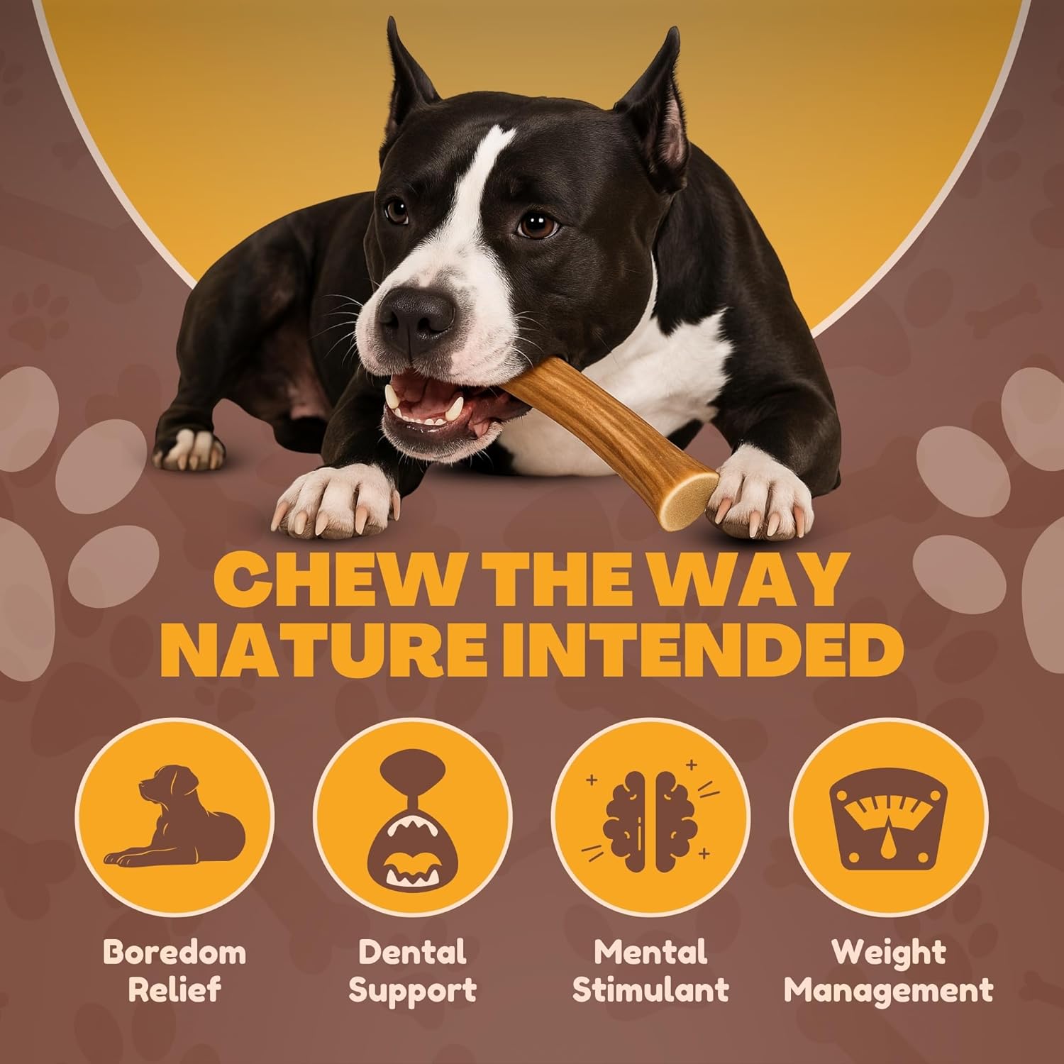 Whitetail Naturals 1 Pound Bulk Antlers - Budget Frinedly Sun Aged Deer Antler Dog Chews -NaturalChew Bones - Split and Whole Mix for Large & Medium Dogs - 4 to 5 Count