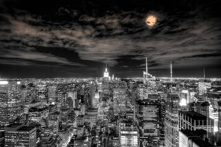 Amazon.com: City of Lights New York City NYC Under Moonlight