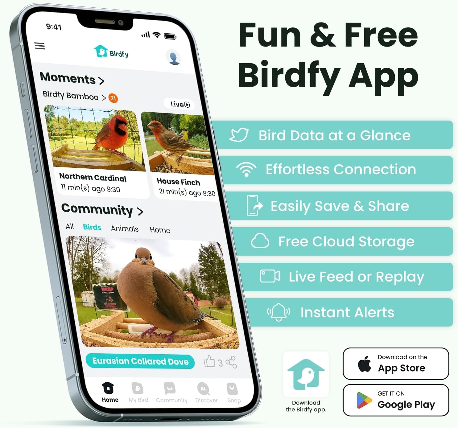 Birdfy Smart Bird Feeder with Camera, Solar Powered 2K Live tream Bamboo Wood feeder& Metal Guard, AI Identify Birds & Auto Record Video, Wild Birds Watching Ideal Gift for Chistmas for mom,Bird-Lover