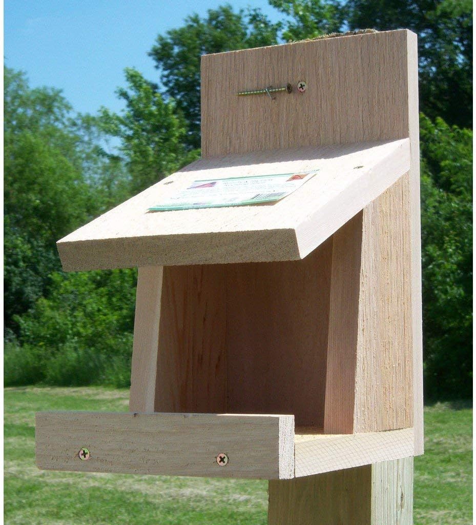 Songbird Essentials SESCS401 Robins Roost Bird House