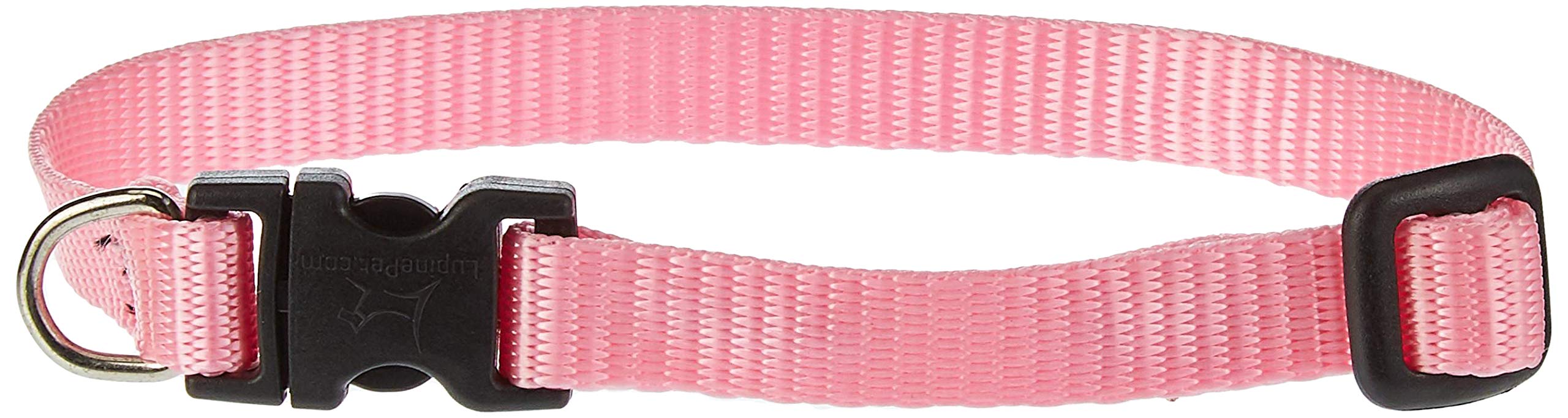 LupinePet Basics 1/2" Pink 10-16" Adjustable Collar for Small Dogs