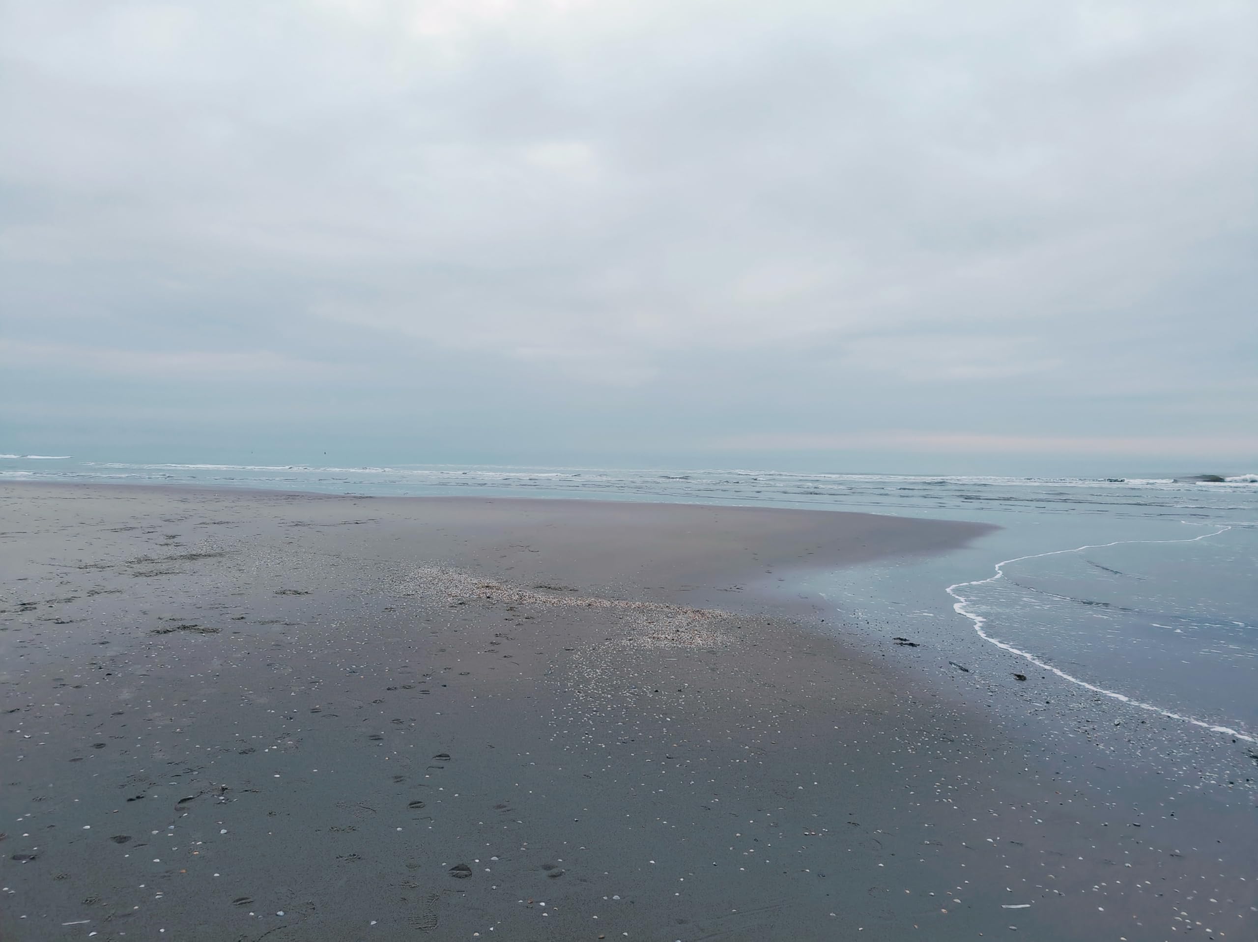 Christian Alsemgeest