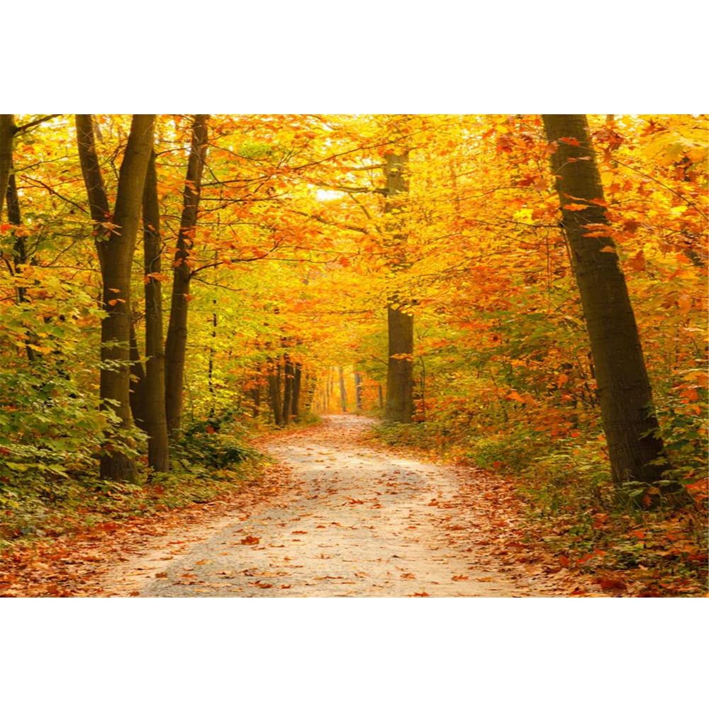 AOFOTO 12x10ft Fall Forest Photography Backdrop Autumn Yellow Fallen Maple Leaves Pathway Scenery Background Thanksgiving Adult Kid Artistic Portrait