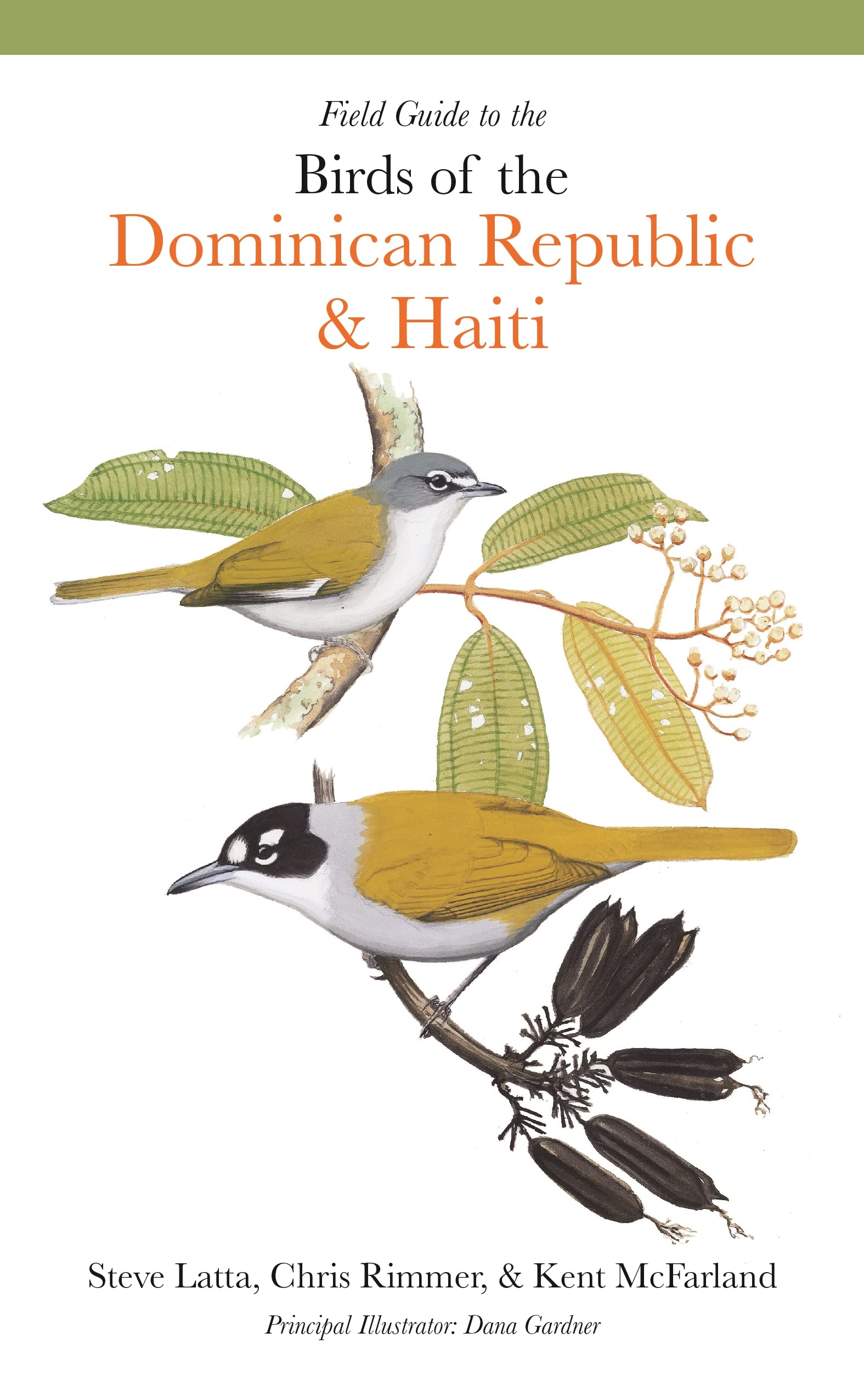 Field Guide to the Birds of the Dominican Republic