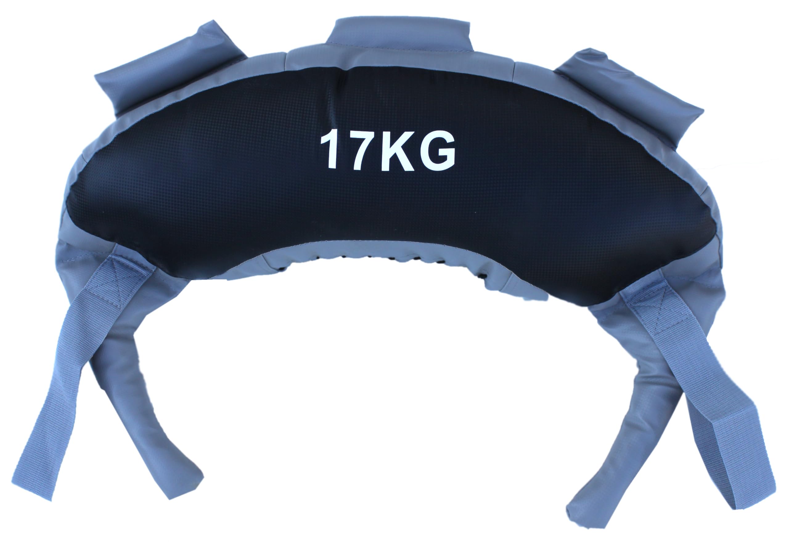 Lisaro Gewichtssack für Fitness Krafttraining, gefüllten Gladiatorbag, Power Bag, Ideal für Viele Functional Training Running Rucking Strongman Lifting Workout Trainingsbag 17 kg