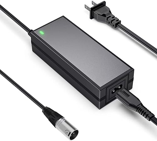 Cargador de batería de scooter eléctrico de 24 V, 2 A, adecuado para Go Go Elite Traveler, movilidad del orgullo, batería de silla eléctrica Jazzy y