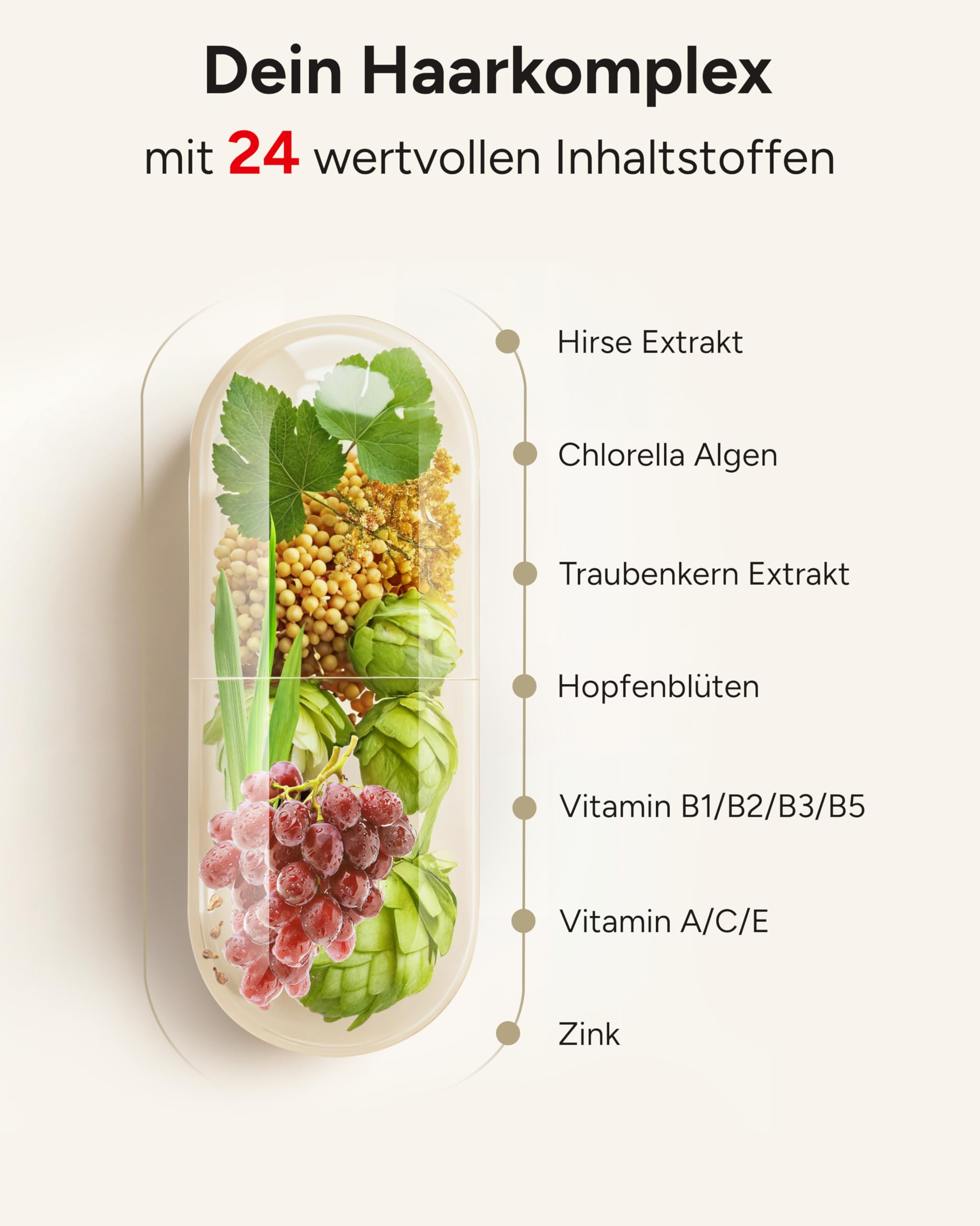 Haar Vitamine - 180 Kapseln - 24 Inhaltsstoffe mit Biotin hochdosiert 10.000µg Hirse & Silizium - Haut Haare Nägel Kapseln - Rapunzel - 3 Monatsvorrat