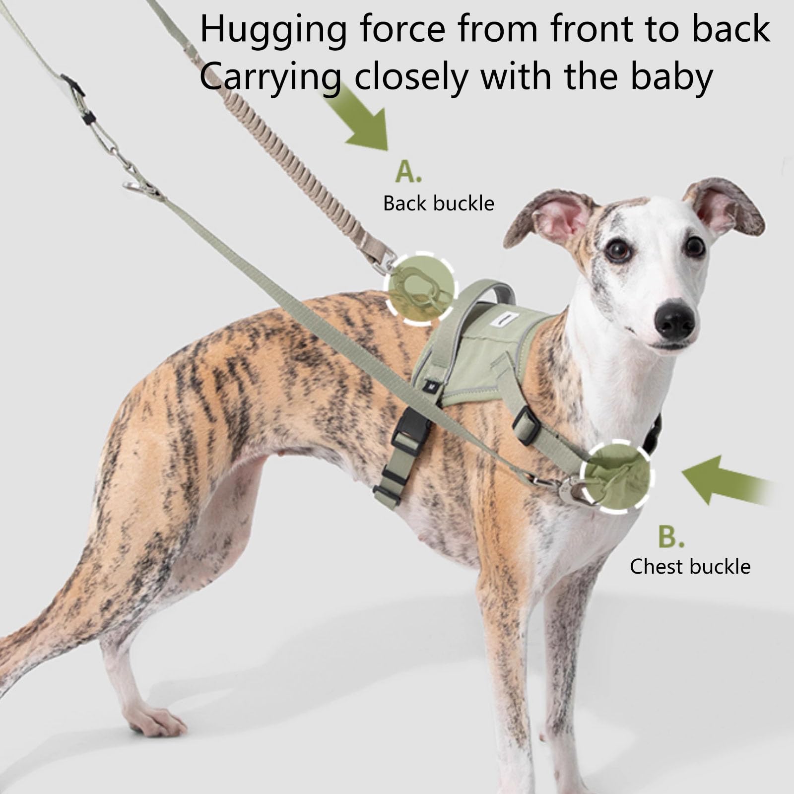 Pettorina Regolabile per Cani, Clip Anteriore Anti-Tiro, Pettorina per Cani con 2 Punti di Collegamento al Guinzaglio, Imbottita, Pettorina Riflettente Tutto in Uno per Cani,Verde,S