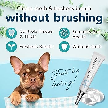 Dr. Dental Wan Organic Dog Teeth Cleaning Powder Gel