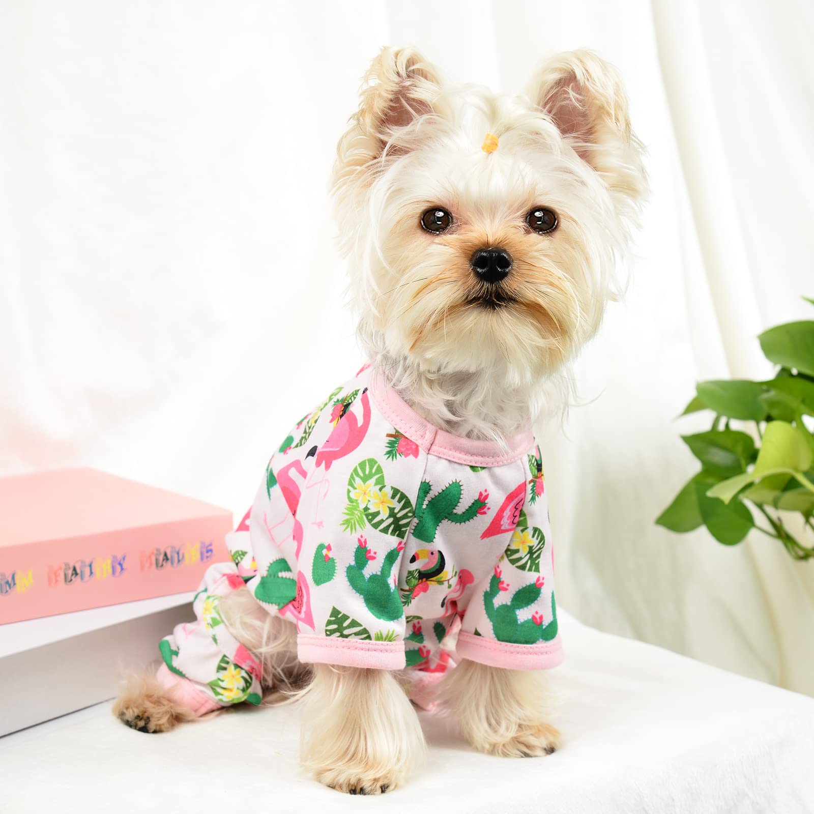 Hunde-Pyjama Für Kleine Hunde – Weicher Einteiler, Atmungsaktiv, Für Chihuahua, Yorkie & Mehr
