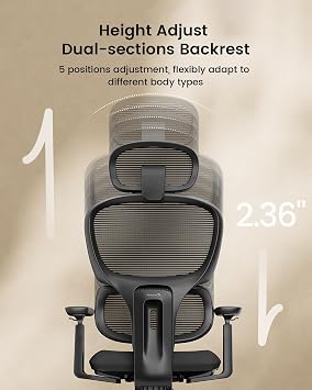 ProtoArc EC300 Ergonomic Office Chair with Height Adjustable Backrest | High-Back Mesh Chair, Sliding Seat, 3D Headrest, 4 Recline Angles, Wider Armrests, for Home Office Long Hours Sitting, Black