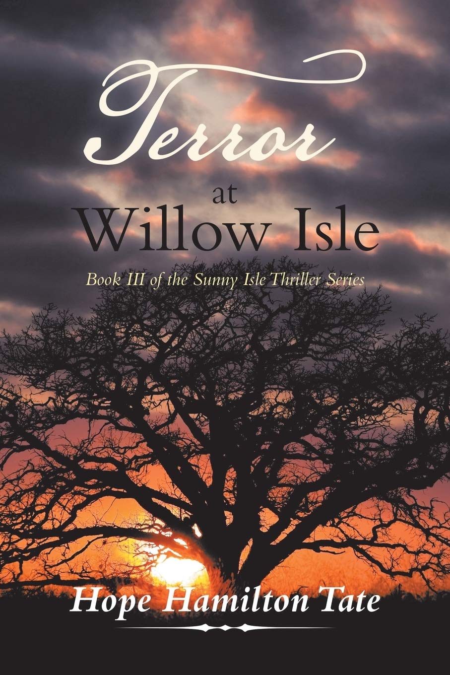 Terror at Willow Isle: Book Iii of the Sunny Isle Thriller Series (Sunny Isle Thriller, 3)