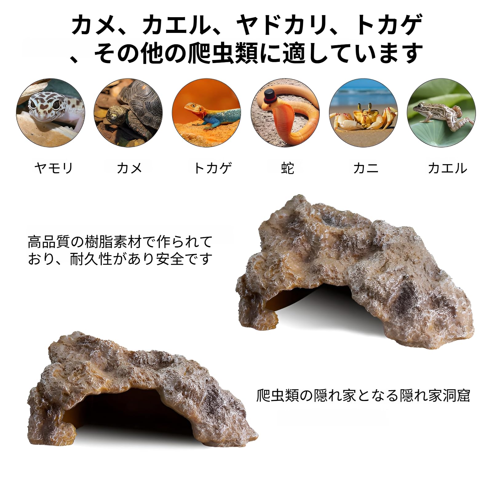 Amazon | [GIIPET]爬虫類シェルター ロックシェルター 隠れ家 トカゲ