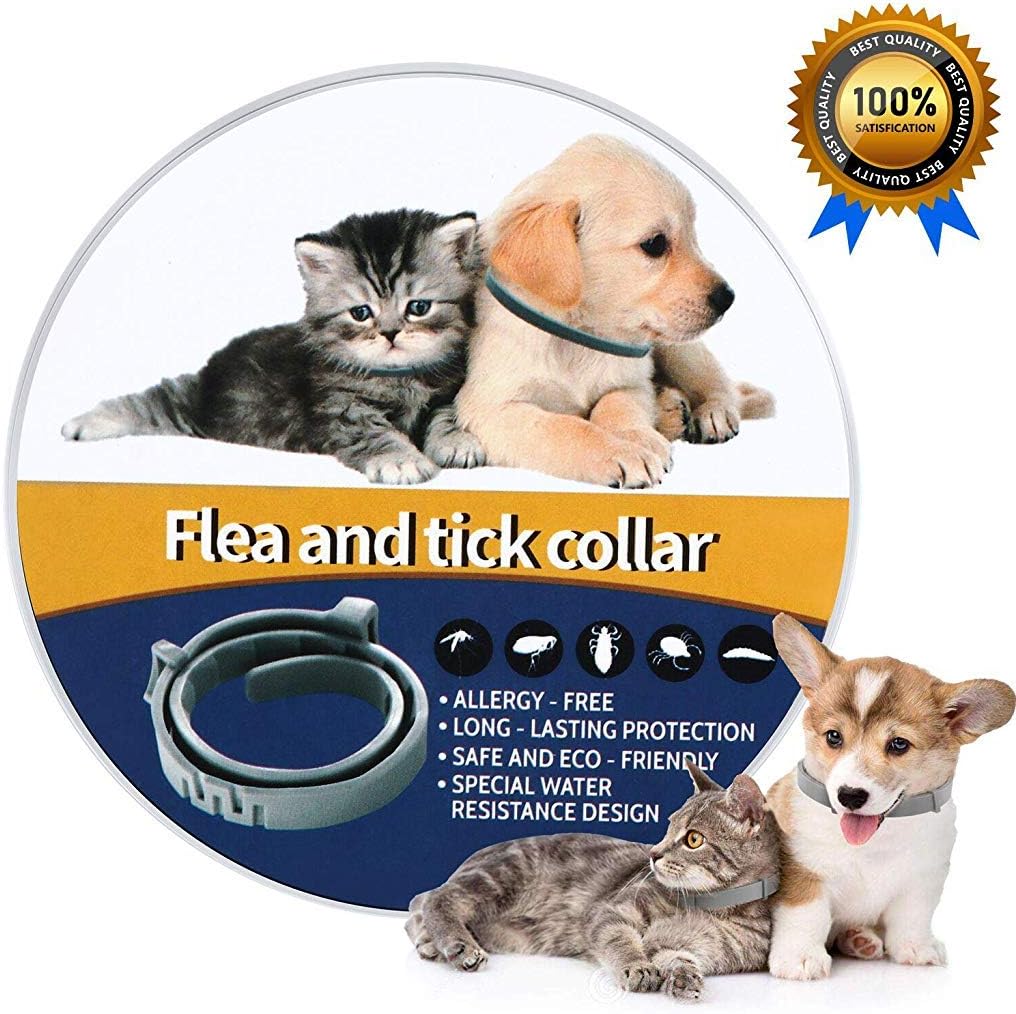 Qpets® Flea and Tick Collar - 8 Month Protection Adjustable Waterproof Collar for Dog Puppy Kitten Cats, Natural & Safe Efficiently Repell Locust Lice of Pets (for Dog and Cat) (Grey)