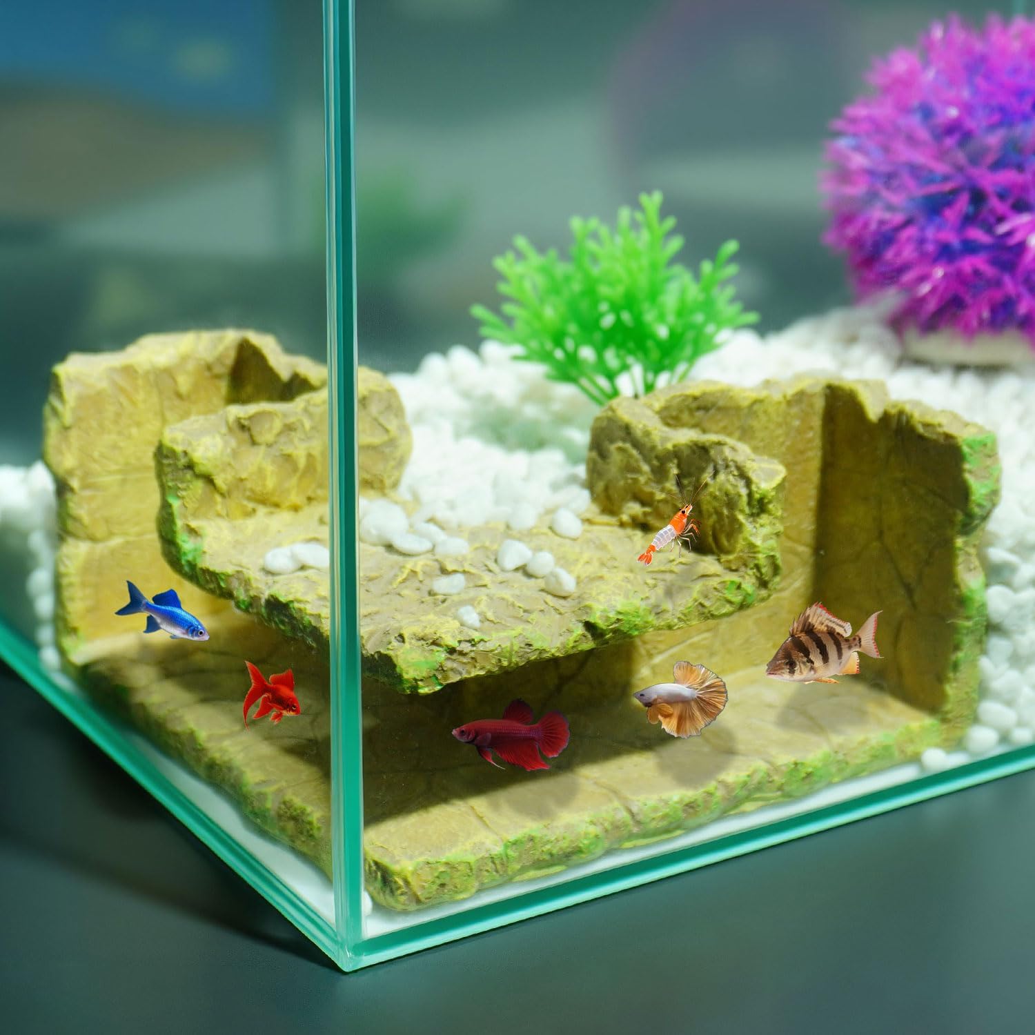 Underground Resin Rock Dual Hole Hideout – View Fish in Natural Corner Tunnel | 5.3×5.3×2.8″ | Ideal for Shrimp, Betta, Plecos