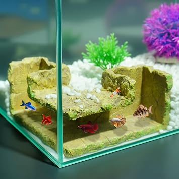 90 Corner Fish Cave Viewing Tunnel, Realistic Rock Formation